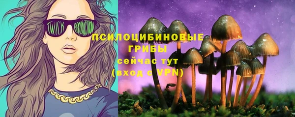 спайс Горно-Алтайск
