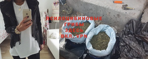 МДМА Горняк
