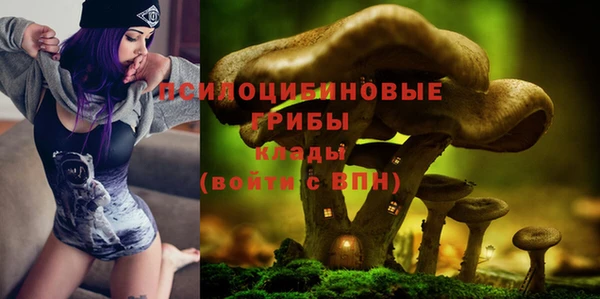 МДМА Горняк