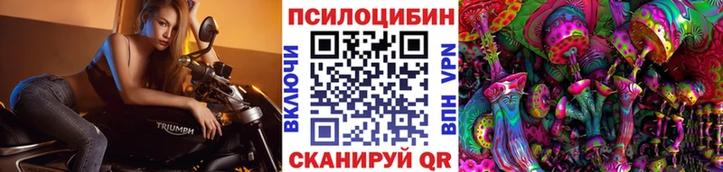 Купить где  Кашин  Галлюциногенные грибы MAGIC MUSHROOMS 